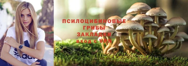 хмурый Вяземский