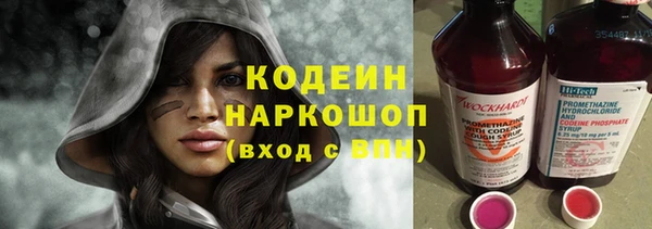 хмурый Вяземский