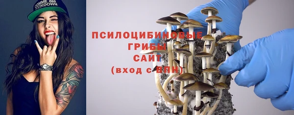 тгк Вязьма