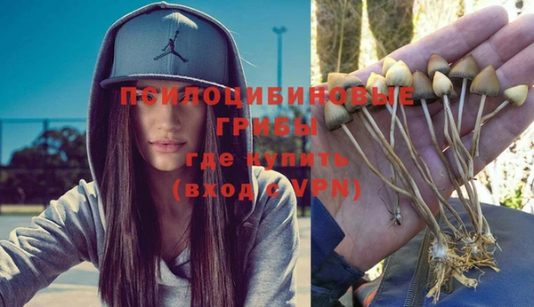 тгк Вязьма