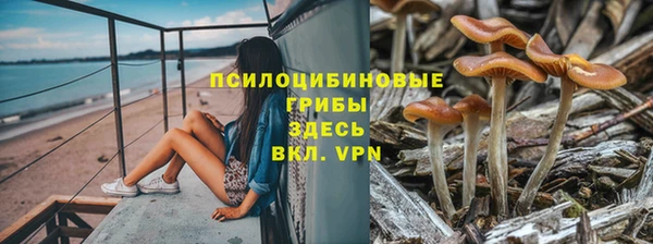хмурый Вяземский