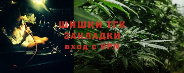 хмурый Вяземский