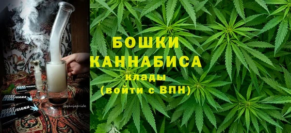 хмурый Вяземский