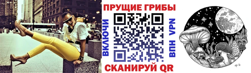 Купить закладки  Малоархангельск  Псилоцибиновые грибы прущие грибы 